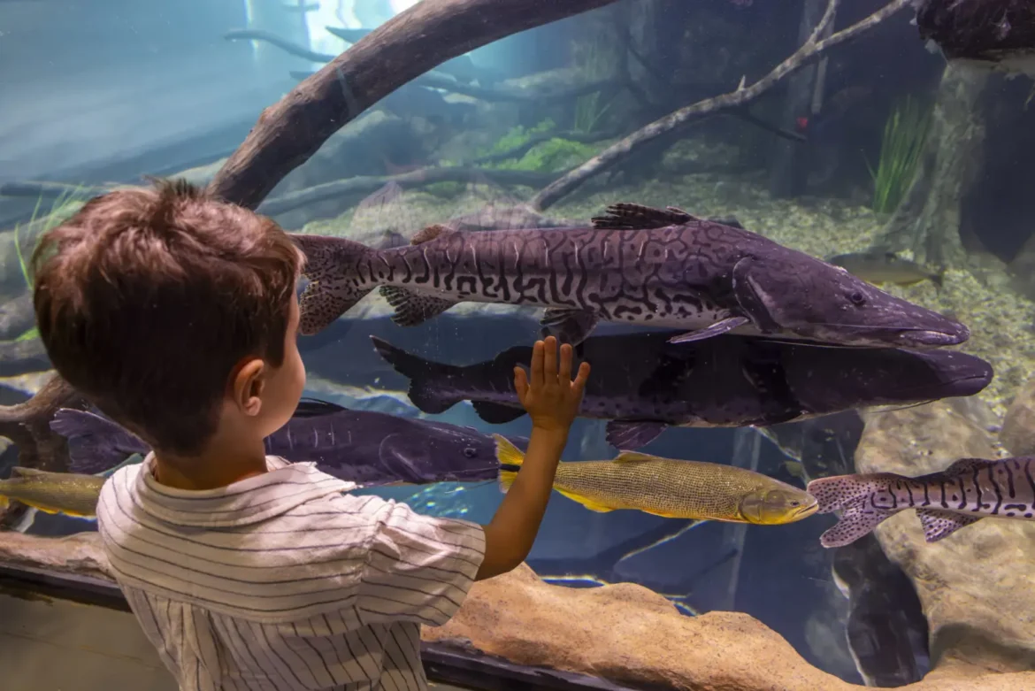 AquaFoz Foz do Iguaçu