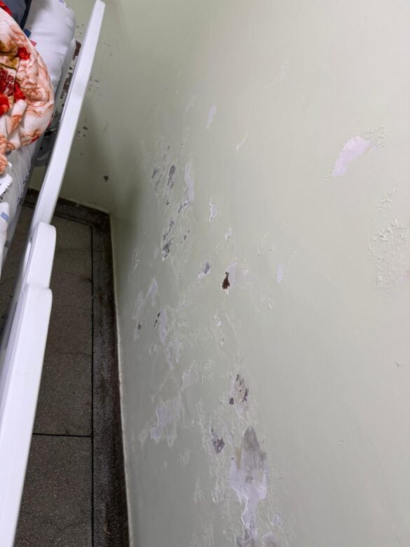 WhatsApp-Image-2026-01-29-at-07.26.26-1