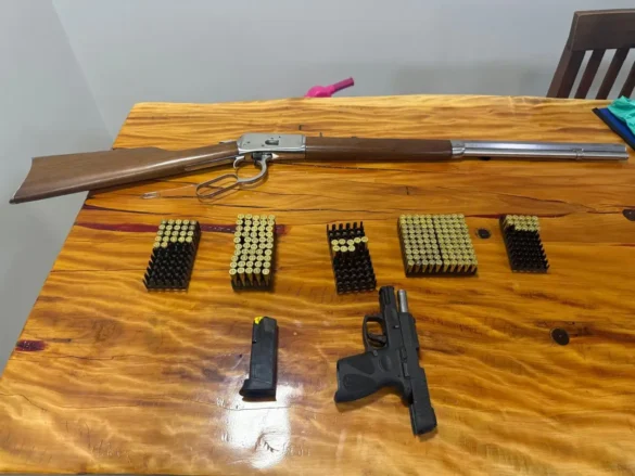 pf-operacao-entalhe-crimes-ambientais-parque-nacional-do-iguacu-capitao-leonidas-marques-5