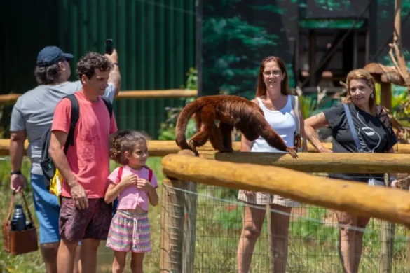 zoo-park-foz-novo-nome-zoologico-moderno-diferentes-amados-foz-do-iguacu-floresta-primatas
