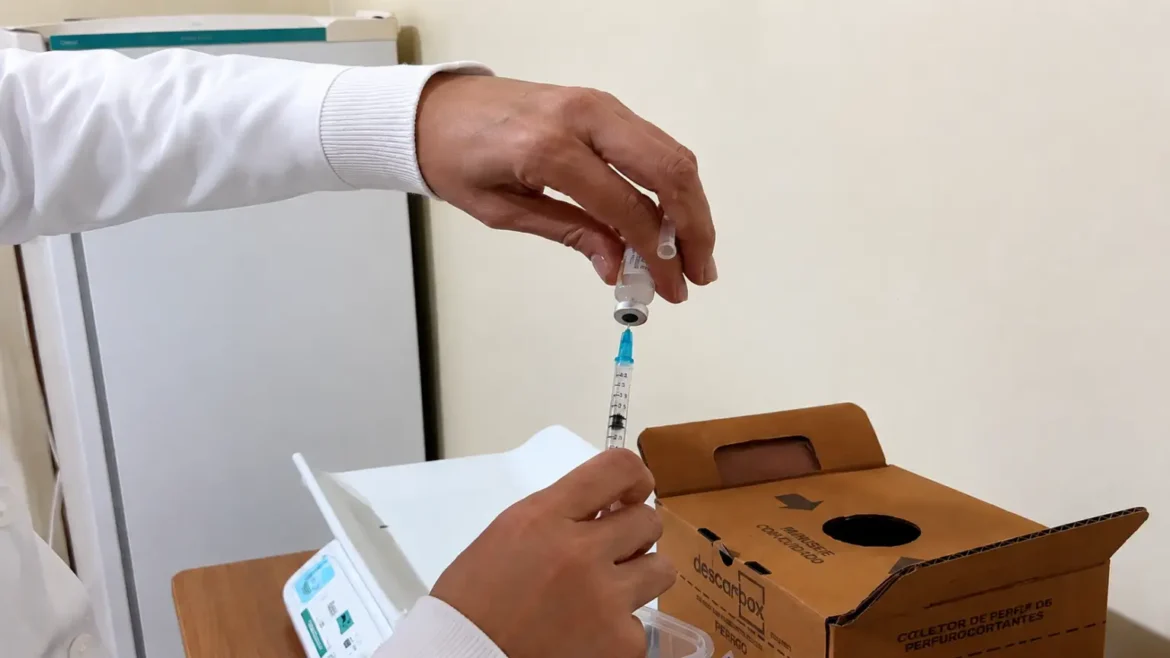 Dia especial de vacinação contra gripe em Foz do Iguaçu